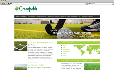 Artificial Turf